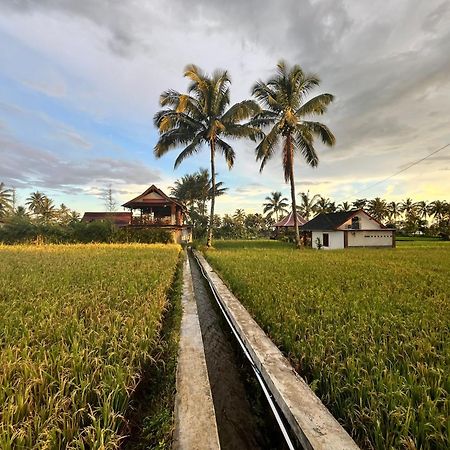 Rice Field Inn - Lombok Tetebatu Eksteriør billede