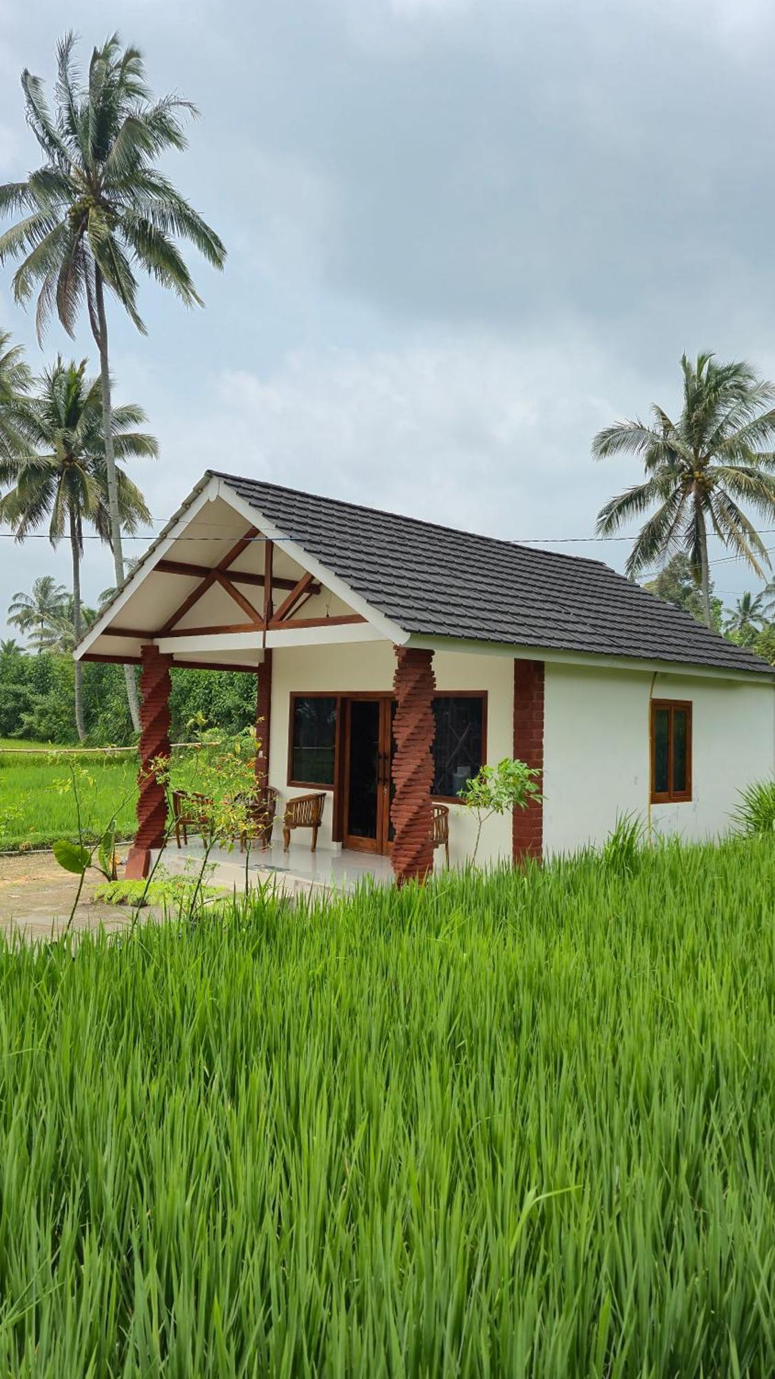 Rice Field Inn - Lombok Tetebatu Eksteriør billede