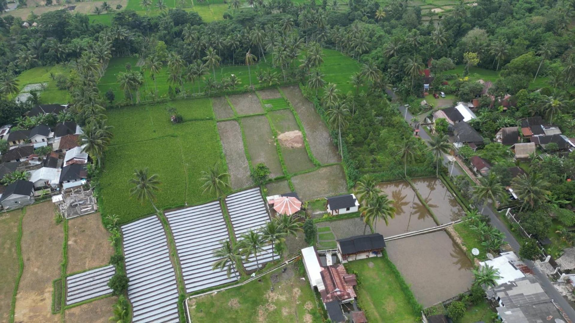 Rice Field Inn - Lombok Tetebatu Eksteriør billede
