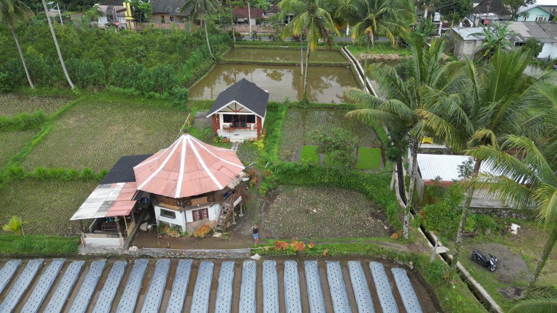 Rice Field Inn - Lombok Tetebatu Eksteriør billede