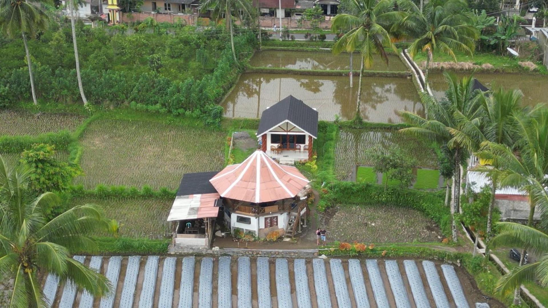 Rice Field Inn - Lombok Tetebatu Eksteriør billede