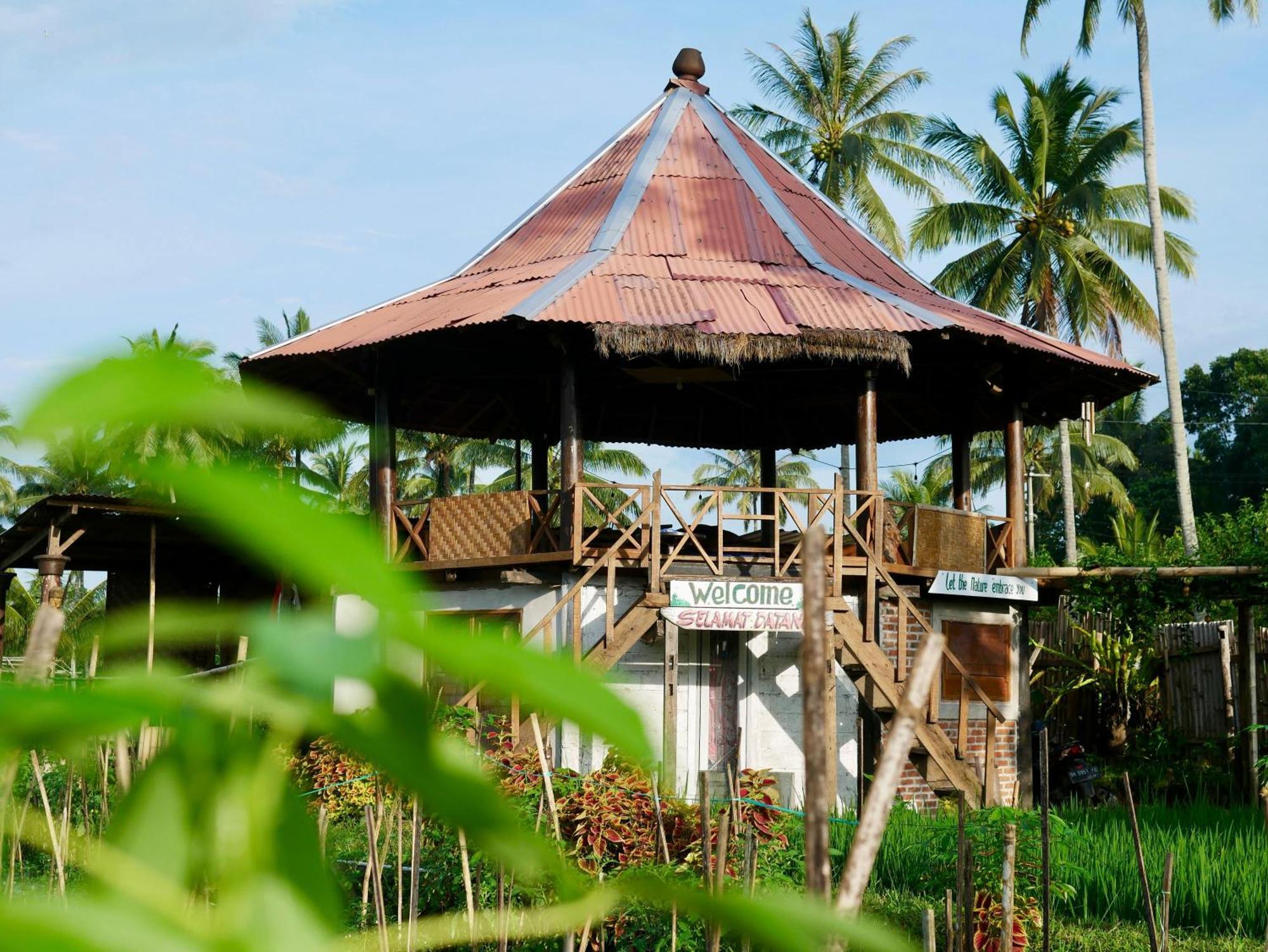 Rice Field Inn - Lombok Tetebatu Eksteriør billede